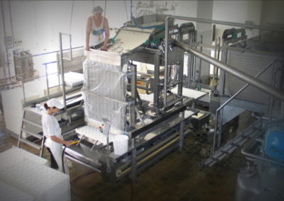 Strojní zařízení na formování měkkých sýrů a jejich vkládání do tvořítek. Provital milk, a.s., 2002-2003
